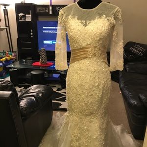 Lace mermaid wedding dress
